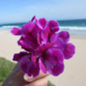 Meet your Posher, Emily